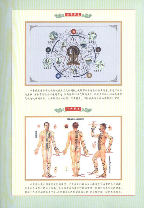 四季養(yǎng)生食療 中醫(yī)保健的智慧與妙方